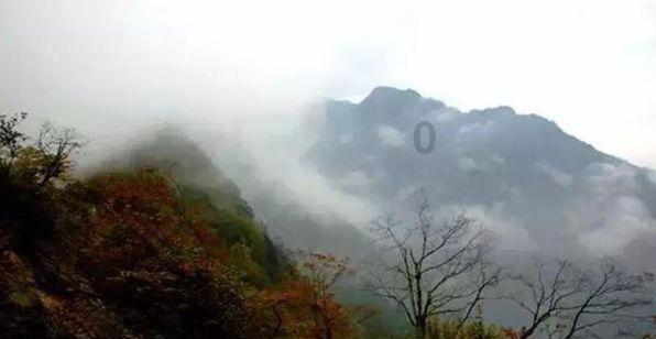救援小袋熊